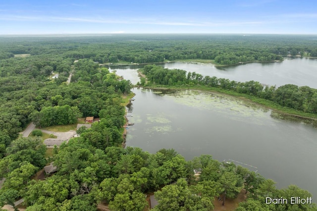 7985 Island View Dr, Newaygo, MI 49337 - aerial view of a forest and a nearby body of water