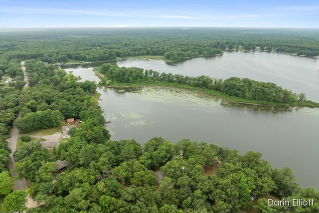 7985 Island View Dr, Newaygo, MI 49337 - bird's eye view of a heavily wooded area and a nearby body of water