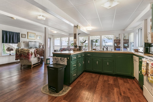 68534 Hill St, Sturgis, MI 49091 - kitchen with green cabinets, plenty of natural light, and dark wood-style flooring