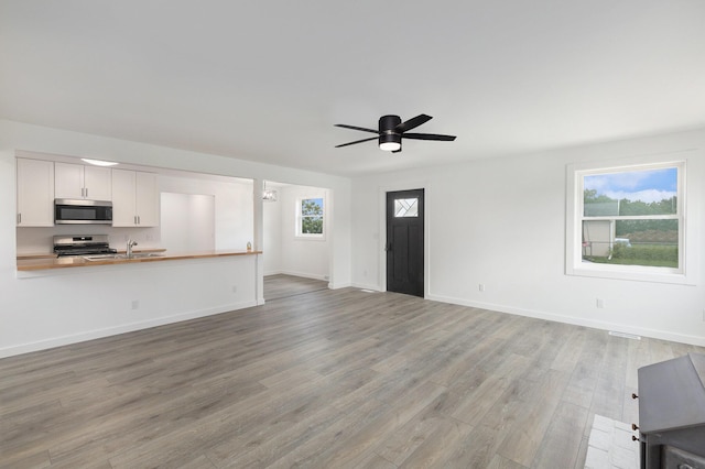 287 Somerset Dr, Brooklyn, MI 49230 - unfurnished living room featuring ceiling fan and light wood-type flooring