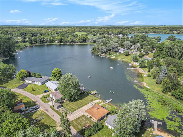 210 Oak Grove Dr, Brooklyn, MI 49230 - bird's eye view of a large body of water