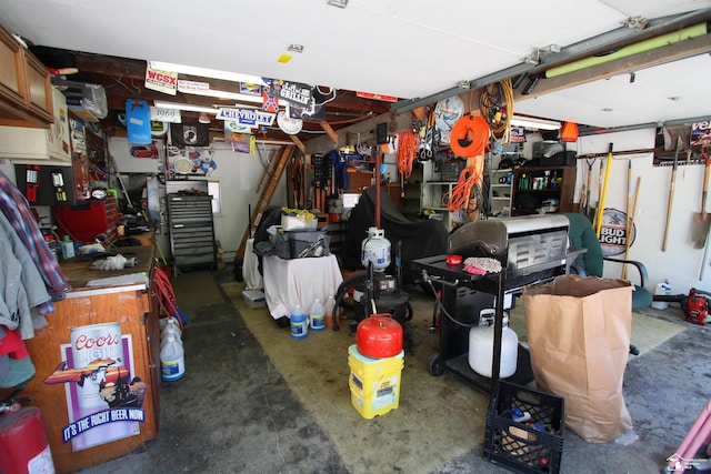 6257 E Dunbar Rd, Monroe, MI 48161 - garage featuring a workshop area