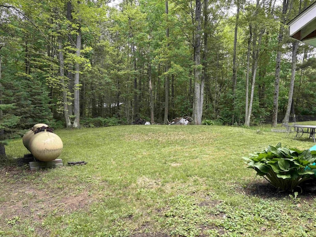 4384 Loud Dam Rd, Glennie, MI 48737 - view of grassy yard featuring a forest view