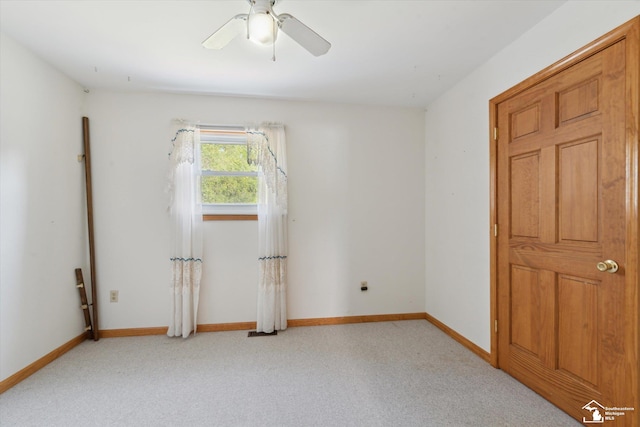 11620 Stewart Rd, Dundee, MI 48131 - photo 30