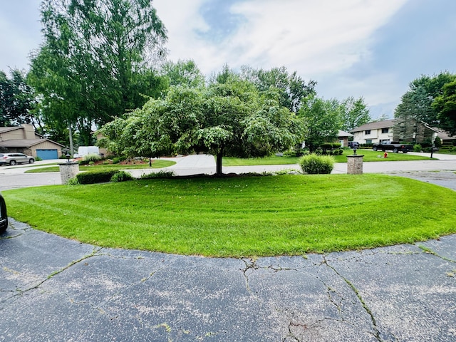 28902 Creek Bend Dr, Farmington Hills, MI 48331 - view of grassy yard