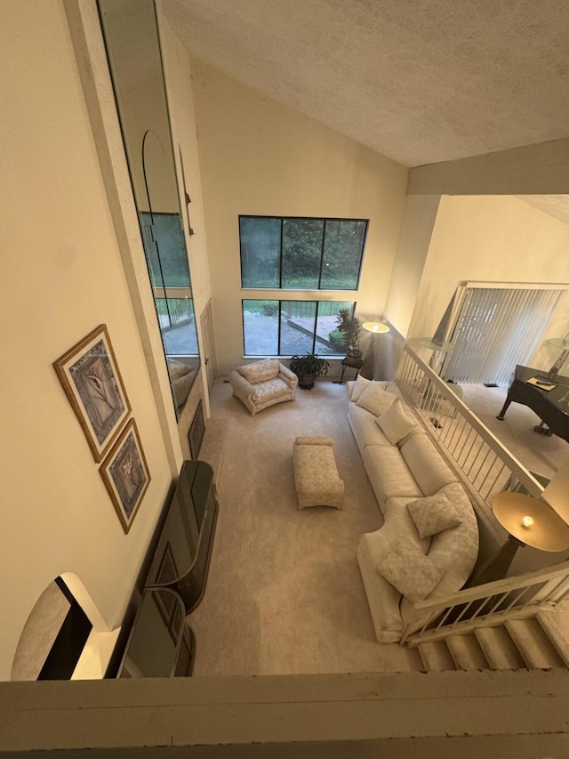 28902 Creek Bend Dr, Farmington Hills, MI 48331 - carpeted living area featuring lofted ceiling and a textured ceiling