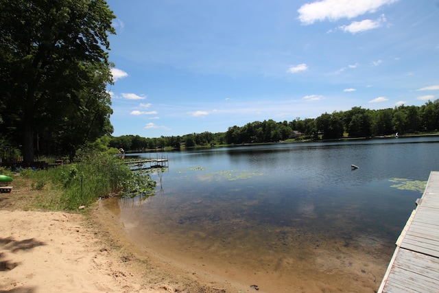 8905 E Acorn St, Holton, MI 49425 - water view with a dock and a forest
