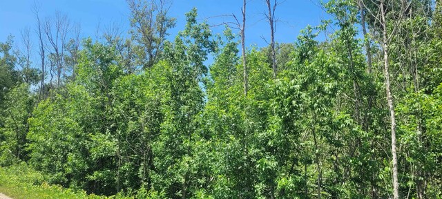 00 Ellsworth Rd, Ellsworth, MI 49729