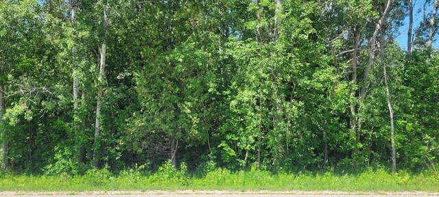00 Ellsworth Rd, Ellsworth, MI 49729