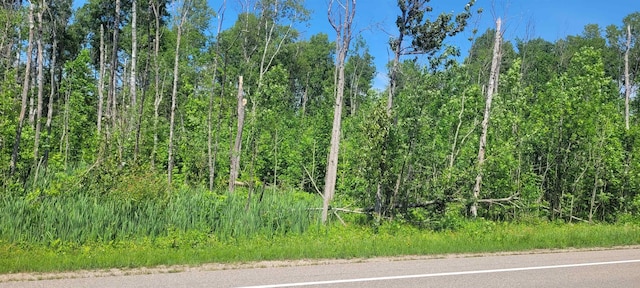 00 Ellsworth Rd, Ellsworth, MI 49729
