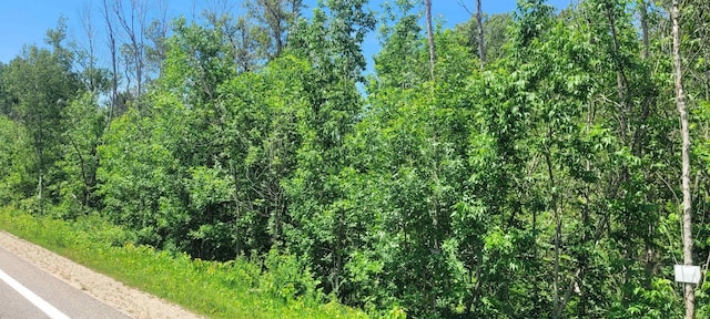 00 Ellsworth Rd, Ellsworth, MI 49729