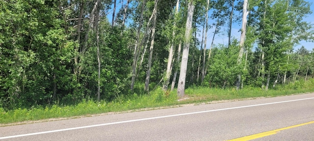 00 Ellsworth Rd, Ellsworth, MI 49729