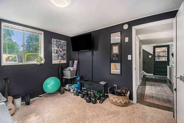 3042 Kevin St, Saint Joseph, MI 49085 - workout room with carpet