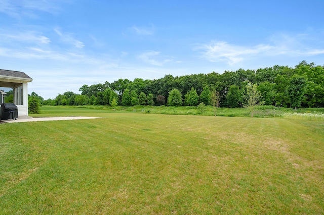8114 Turning Stone, Kalamazoo, MI 49009 - view of green lawn