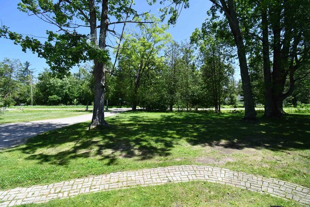 7726 Lake, Alanson, MI 49706 - photo 47