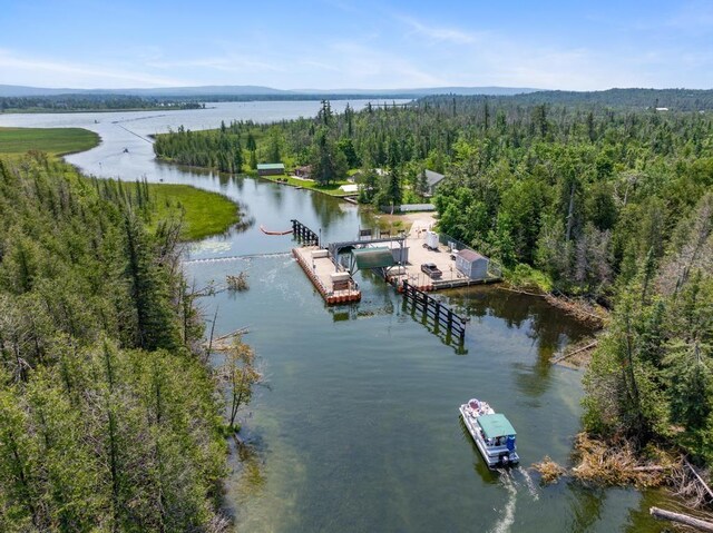 7726 Lake, Alanson, MI 49706 - photo 61