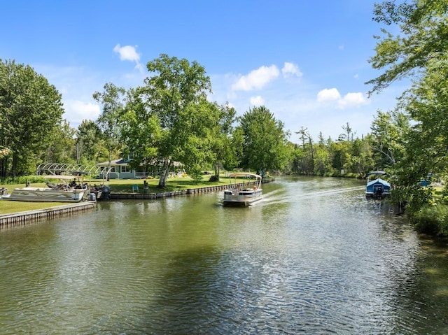 7726 Lake, Alanson, MI 49706 - photo 63