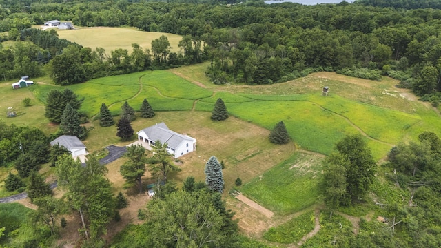 1684 W W County Line Rd, Sand Lake, MI 49343 - aerial overview of property's location featuring rural landscape
