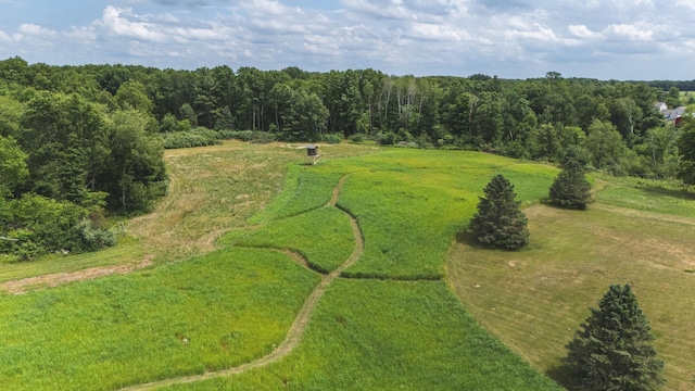 1684 W W County Line Rd, Sand Lake, MI 49343 - drone / aerial view