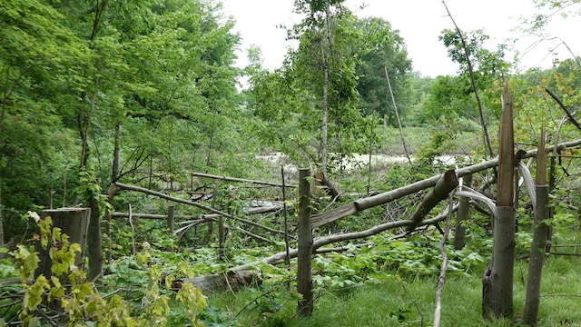1684 W W County Line Rd, Sand Lake, MI 49343 - view of woods
