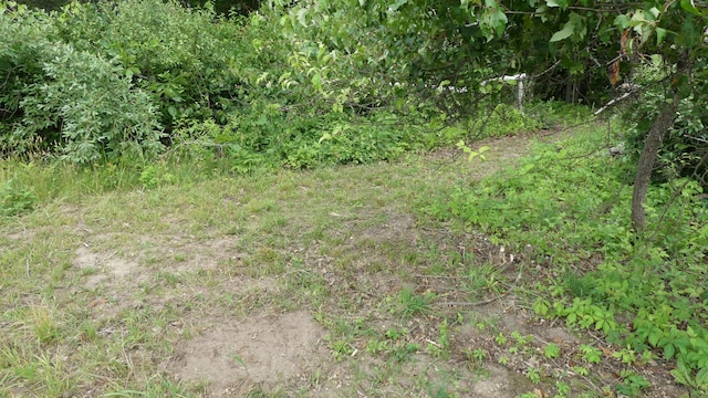 1684 W W County Line Rd, Sand Lake, MI 49343 - view of nature