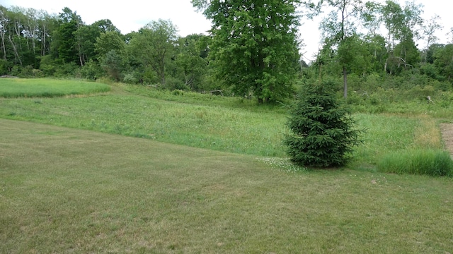 1684 W W County Line Rd, Sand Lake, MI 49343 - view of yard with a view of trees