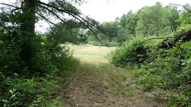 1684 W W County Line Rd, Sand Lake, MI 49343 - view of nature