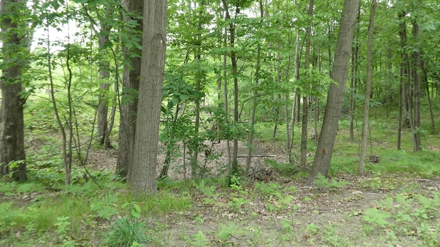1684 W W County Line Rd, Sand Lake, MI 49343 - view of woods