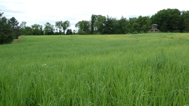 1684 W W County Line Rd, Sand Lake, MI 49343 - view of nature featuring rural landscape