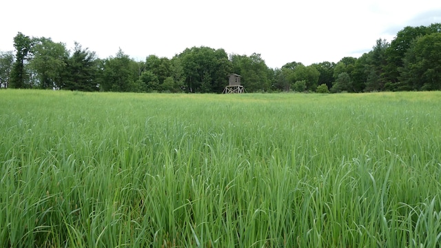 1684 W W County Line Rd, Sand Lake, MI 49343 - view of tree filled area