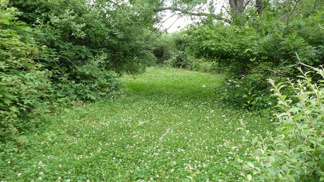1684 W W County Line Rd, Sand Lake, MI 49343 - view of nature