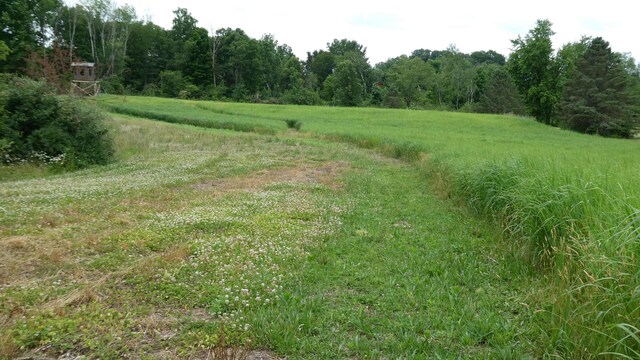 1684 W W County Line Rd, Sand Lake, MI 49343 - view of tree filled area