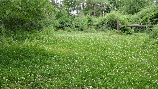 1684 W W County Line Rd, Sand Lake, MI 49343 - view of nature