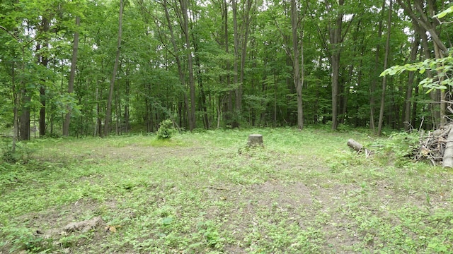 1684 W W County Line Rd, Sand Lake, MI 49343 - view of yard featuring a wooded view