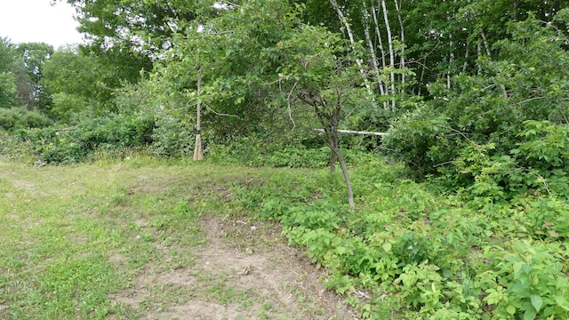 1684 W W County Line Rd, Sand Lake, MI 49343 - view of undeveloped land