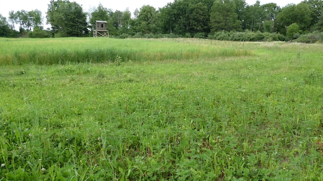 1684 W W County Line Rd, Sand Lake, MI 49343 - view of undeveloped land