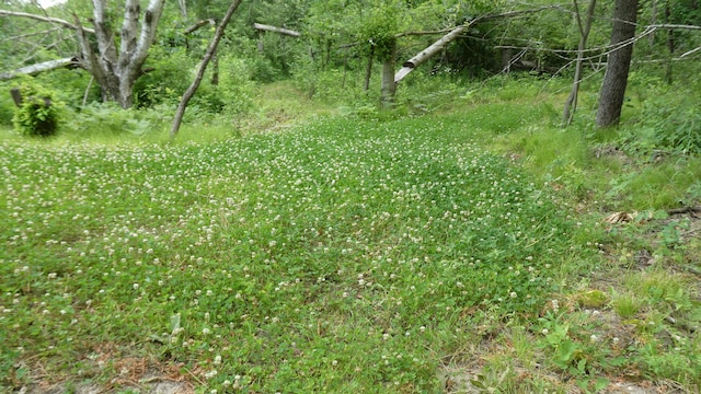 1684 W W County Line Rd, Sand Lake, MI 49343 - view of nature