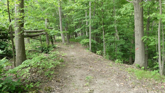 1684 W W County Line Rd, Sand Lake, MI 49343 - view of wooded area