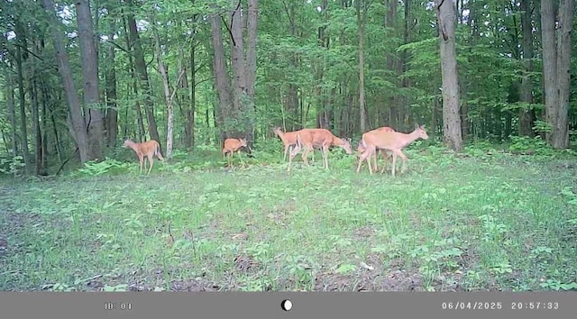 1684 W W County Line Rd, Sand Lake, MI 49343 - view of yard featuring a wooded view