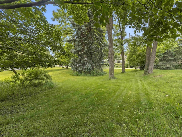 00 W Wilce St, Empire, MI 49630