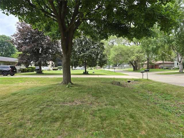 22024 Lester St, Clinton Township, MI 48035 - view of grassy yard