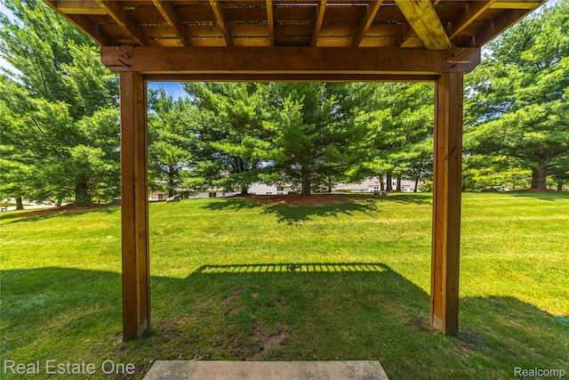 480 Hosta, Howell, MI 48843 - view of grassy yard