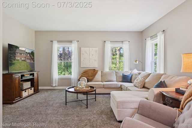 7155 Campbell Mills Ct, Brighton, MI 48116 - carpeted living area featuring healthy amount of natural light