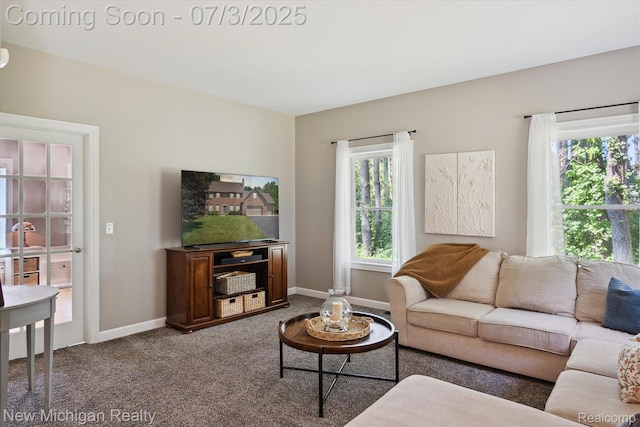 7155 Campbell Mills Ct, Brighton, MI 48116 - living room with carpet and baseboards