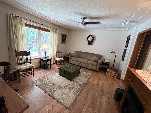 260 Treml, Michigan, MI 49411 - living room featuring a textured ceiling, light wood finished floors, and a ceiling fan