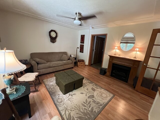 260 Treml, Michigan, MI 49411 - living area with wood finished floors, ceiling fan, a fireplace, and a textured ceiling