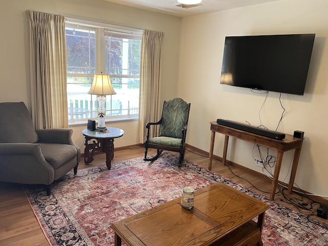 260 Treml, Michigan, MI 49411 - living room with wood finished floors and healthy amount of natural light