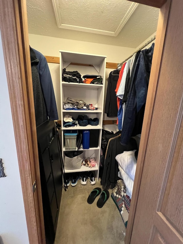 260 Treml, Michigan, MI 49411 - spacious closet with attic access