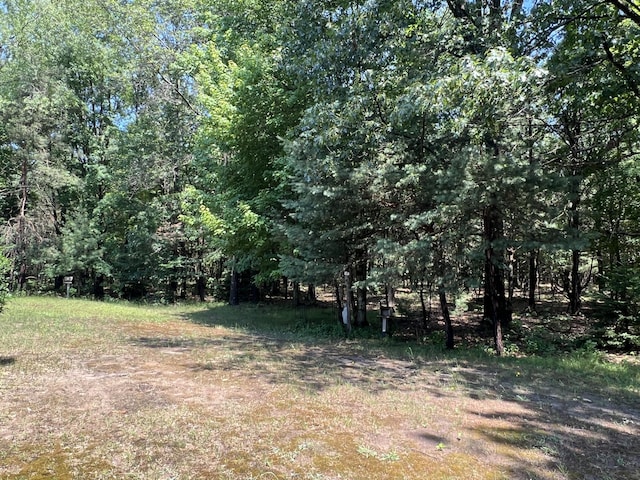260 Treml, Michigan, MI 49411 - view of yard with a wooded view