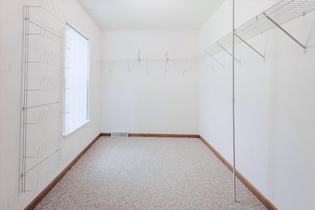 2098 Fisher Ct, Howell, MI 48855 - walk in closet featuring carpet floors
